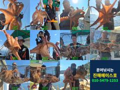 [진해] 문어 1500 1300외 구석구석 여밭 공략, 키로급 대물에 마… 사진