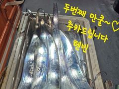 [마산] 내만갈치 사이즈 마리수 굿굿!!! 100수 이상 낚낚GOGO~ 사진