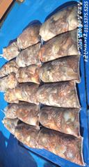 [군산아시아호] 문어 대박 조황 10/7