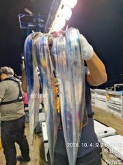 [여수,광양] 10월10일부터 자리여유 대갈치 쿨러가득 잡으러 출조합니다