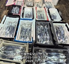 내만갈치,담뱃갑 사이즈에 쿨러 넘치게,엄청 나옵니다,내일출항(목,토~예약가능) 사진