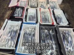 내만갈치,담뱃갑 사이즈에 쿨러 넘치게,엄청 나옵니다,오늘출항( 3자리 예약가능) 사진