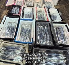 내만갈치,담뱃갑 사이즈에 쿨러 넘치게,엄청 나옵니다,오늘출항( 5자리 예약가능) 사진