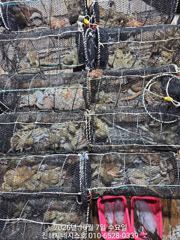 문어] 금요일 야간전투 예약가능~ 금욜도 고고!!~