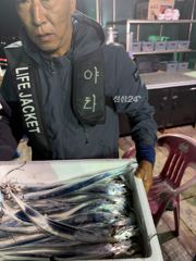 #목포야타피싱 #10월7일 #야간갈치낚시 #조황!