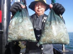 10월7일 조황 사진