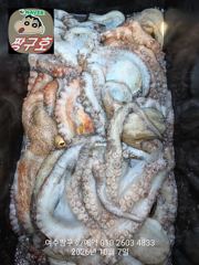 여수 짱구호 10월7일(수) 문어 7일차 대박 조황 사진