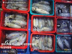 무늬 팁런 새벽반 그리고 저녁반 모집중 포인트 5분~10분 삼치 방어는 매일 만쿨