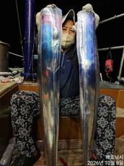 [여수해호낚시] 대갈치대삼치로 쿨러가득(오늘 자리여유 있습니다.)
