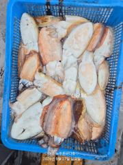 7일 쭈꾸미 조황입니다(토.일요일 갑오징어 선비:7만원.11자리 여유 있습니다) 사진
