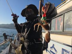 사천피싱스타 주꾸미 어제 조황입니다 사진