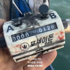 [서산,태안] 26.10.08 백사장항 무야호 갑오징어 조황^^