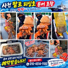 [사천] 삼천포 팔포피싱호 문어 출조 하실분 예약받습니다 사진