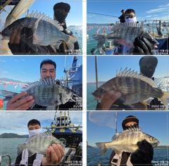 왕무시 왕고매 왕갑이까지~다 커요!!! 오늘 널널합니다!!! 사진