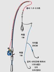 야간문어 및 대물 인생 갑오징어 조황~ 사진