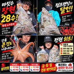 삼천포박프로 흑진호｜20명 중 17명 두 자릿수! 삼천포 야간문어 마릿수 폭발
