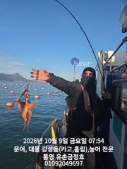 [통영] 통영 금정호 대물문어선상 아침부터 바쁩니다!! 토,일요일 자리있…