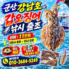 10월9일 군산 강남호 문어 실시간 조황 사진