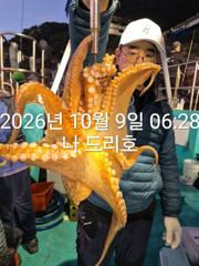 9일, 군산 왕문어~ 덩치급 문어들~문어 싸이즈 굿~망텡이 굿조황~군산낚시프라자 나드리호