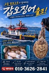 녹동돌문어 싸이즈급 조황~
