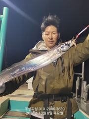 준내만 텐빈 은빛 갈치 3지급 느나느나 조황 일요일부터 무조건 출항 자리여유 사진