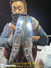 내만칼치ㅡ 종일피딩! 물반 칼치반 어마어마하게 물어주네요(토/일 예약가능)