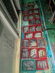 38분전 [완도] 완도파랑새호 10월9일 입항 갈치 철수 조황입니다