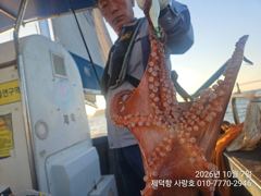 [진해] "돌문어" 연일 1300g1100g1100g외 개인14수13수1… 사진