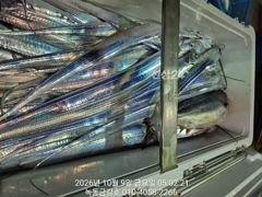 녹동금강호16석 갈치조항.자리지정예약제 자리별차등요금제 010-4058-2266