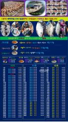 ♥붉바리조황 이정도는 잡아봐야지요 대박 조황입니다[2026년10월09일 ] ◎ 해마루호가 뜨는이유? 조황때문이죠 ◎ 핵심포인트: 바로진입.. 바로히트.. ◎ 차원이 다른 조황으로 모십니다 ▣ 요즘 붉바리낚시가 대세입니다