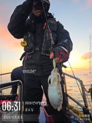 10/9(금) 갑오징어 조황 입니다 !