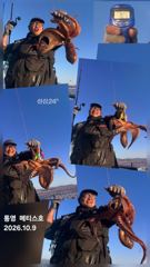 [통영] 통영] 문어 사량도 굴어장 조황 9일(금) 통영 메티스호