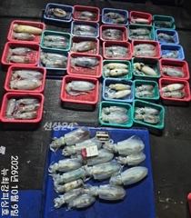 장원 31수~ 전원 두자릿수!!! 11일(일) 널널합니다!!! 사진