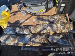 삼천포 똘이장군. 똘이호// 왕~ 쭈꾸미들