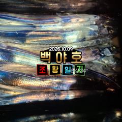 [백야호]26.10.09 갈치 선상 낚시 조황 사진
