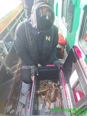 10.9 문어 조황입니다 사진