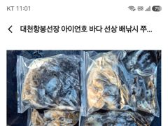 26년10월09일 대천항봉선장 아이언호 쭈꾸미갑오징어조황 사진