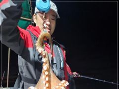 야간문어 조황~ 오늘 15시 출조
