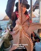 10일, 군산 왕문어 ~ 확실한 덩치급 왕문어~오늘도 어김없이~실시간~군산낚시프라자 포세이돈호