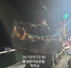 [통영] (문어)대박시즌 마릿수 씨알 한 방에 잡자~락피싱(11일 예약)
