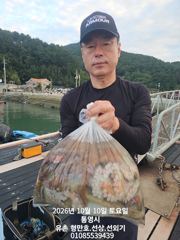 [통영] 유촌 형만호 선상 문어 마리수 조황입니다 내일자리여유