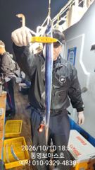 실시간 1탄 던지면 퍽 퍽 사진