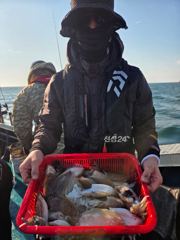 [ 군산 토르호 ] 10월 10일 갑오징어 조황 (월요일 자리여유있습니다!)