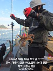 통영 금정호 오전문어 아침부터 묵직한 손맛 좋습니다 오늘 오후, 내일자리여유있습니다 사진