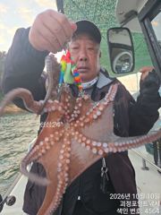 ~~*10일 굵직한돌문어 씨알급들 손맛 굿~~(낼예약가능)*~~