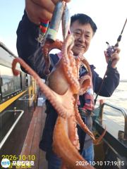 10-10(오후조황)K오버 돌문어 사이즈 굿~일오후 예약중 사진
