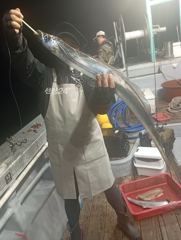 10/10 제주쏘니호 갈치 텐빈 조황
