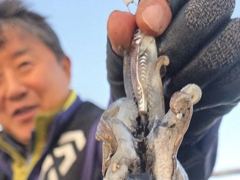 26.10.9.일 한글날 금요일 포세이돈호 조항인니다