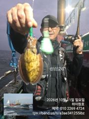 11일, 군산은 갑오징어 천국~역대급 조황이 계속~오늘도 굿~~실시간~군산낚시프라자 하이원호