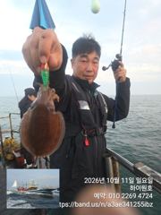 11일, 군산은 갑오징어 천국~역대급 조황이 계속~오늘도 굿~~실시간~군산낚시프라자 하이원호